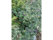 �������1