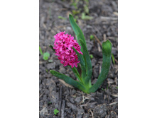 �� ���.jpg