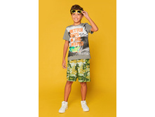 ��������(�������) ������� ��� ��������� Palmer �����