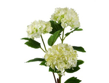 167624 40361409lvetkakalinyiskusstvennayah82smbelaya3chasti sl033475 1-450x450.jpg