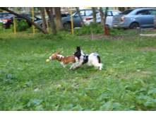 DSC02211.JPG