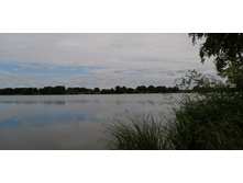 IMG 20200623 093445.jpg