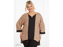 ������ 2804477-24.jpg