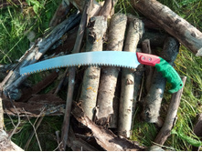 20200606 �� ����� ����� 1745.jpg