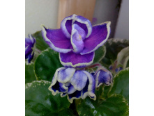 ��-����������� ����.jpg