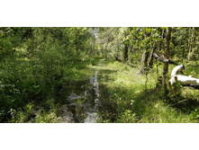 IMG 20200606 131235.jpg