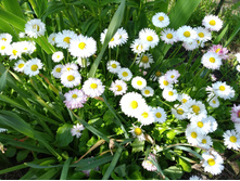 ����������. 30 � - �����.