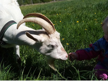 IMG 20200520 115050 1.jpg