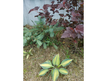 ������ ������� 2020