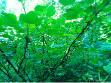 20200621 5 ������� 122951.jpg