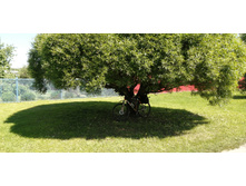 IMG 20200607 105744.jpg