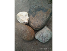 IMG 20200623 211736.jpg