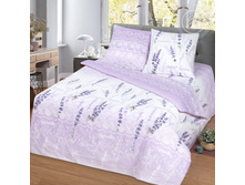 ���� ���� 220 ��