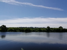 IMG 20200621 113121.jpg