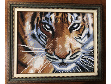 ����� ��� ������ � �������_BV3523-3