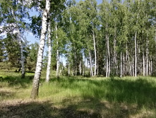 IMG 20200607 135730.jpg