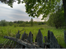 IMG 20200529 154013 HDR.jpg