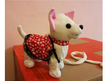 �������� ����