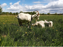 IMG 20200520 114848.jpg