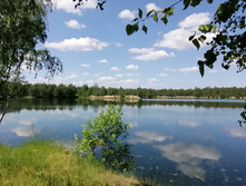 IMG 20200607 120425.jpg