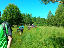 20200621 5 ������� 134200.jpg