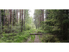 IMG 20200606 130841.jpg