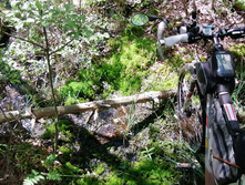 IMG 20200606 131427.jpg