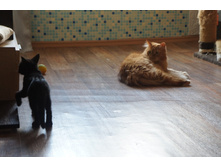DSC02019.JPG