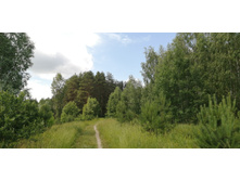 IMG 20200620 105721.jpg