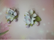 120 ��� 1 ��