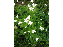 IMG 20190607 182350.jpg