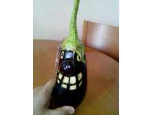 ������ ���!