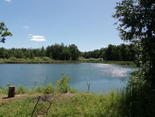 IMG 20200614 102910.jpg