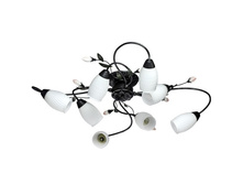 ������ 334013608 4700�.jpg