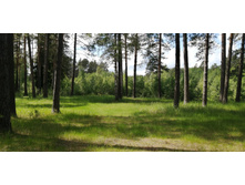 IMG 20200606 124107.jpg