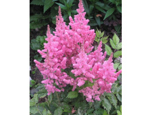 IMG 20200601 160117.jpg