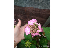��������� ������������� ����� ��� ���� IMG 20200613 134454.jpg