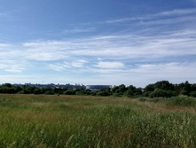 IMG 20200621 093455.jpg