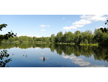 IMG 20200607 142057.jpg