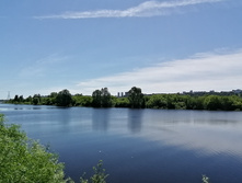 IMG 20200621 113158.jpg