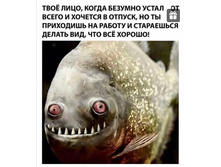 Screenshot 20200628 024926.jpg