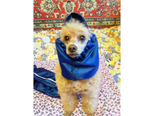 ����������� viber 2020-06-01 20-17-19.jpg