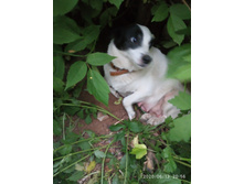 IMG 20200613 205636.jpg