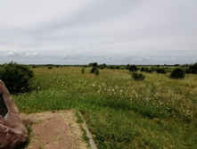 IMG 20200623 130420.jpg