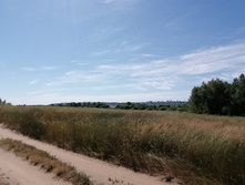 IMG 20200621 093237.jpg