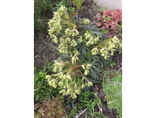 �������� �������.jpg