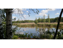 IMG 20200607 134243.jpg