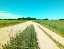 20200621 5 ������� 115445.jpg