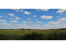 IMG 20200622 102259.jpg