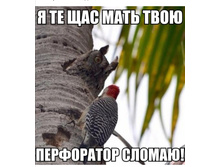 Screenshot 20200610 100709.jpg